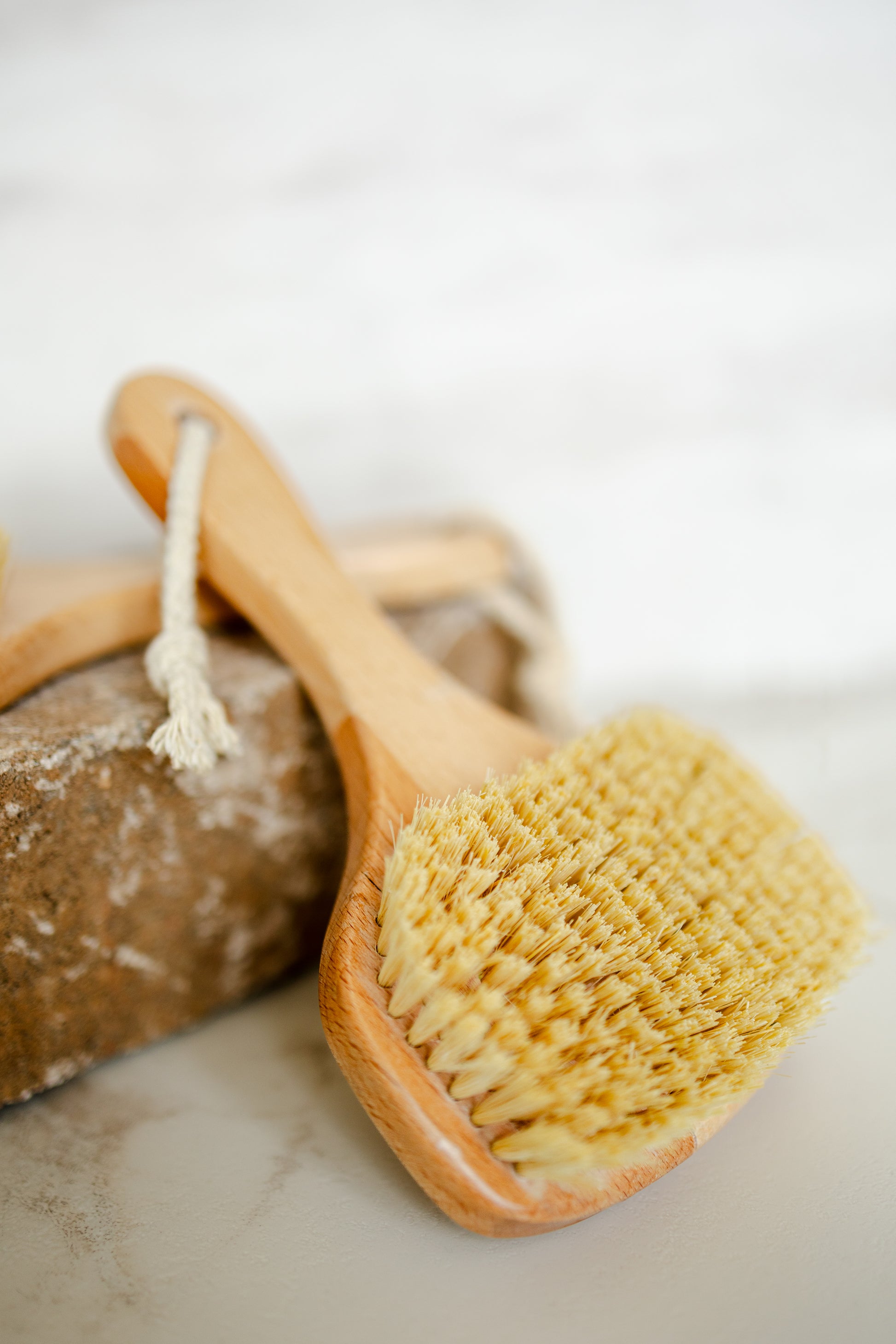 Dry Body Brush